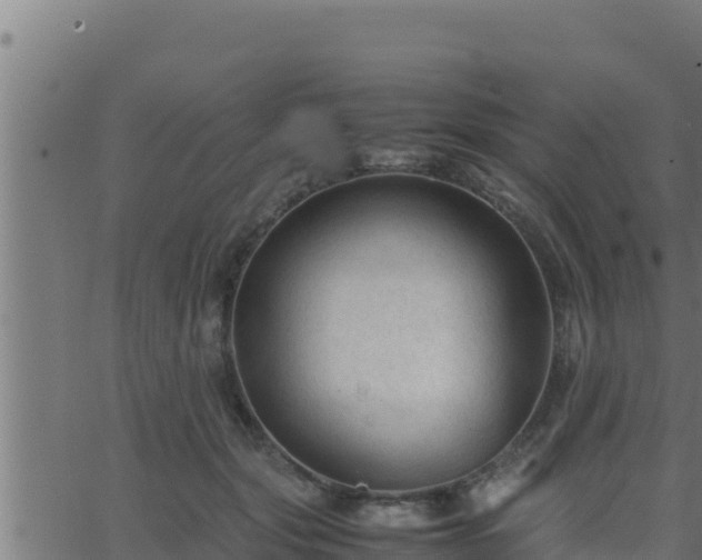 X0000062880557200601171450