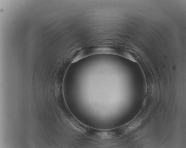 X0000062880558200601171450