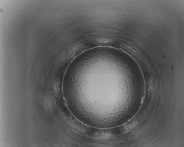 X0000062880559200601171450