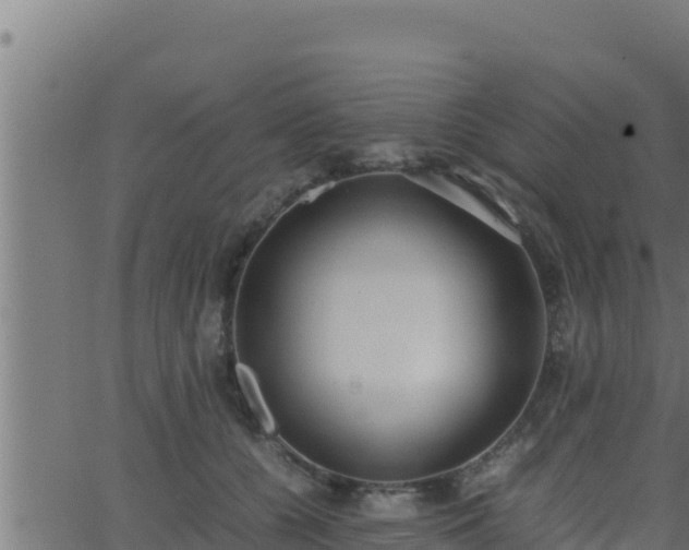 X0000062880560200601171450