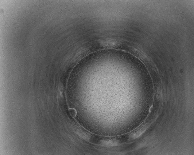 X0000062880561200601171450