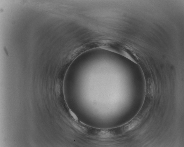 X0000062880562200601171450