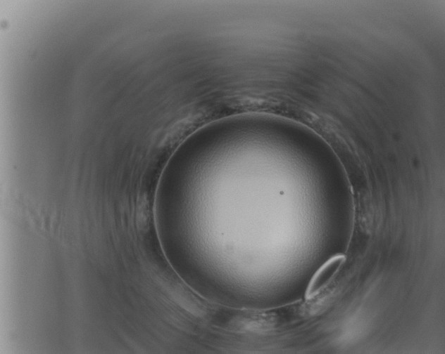 X0000062880563200601171450