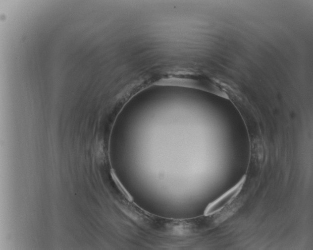 X0000062880564200601171450