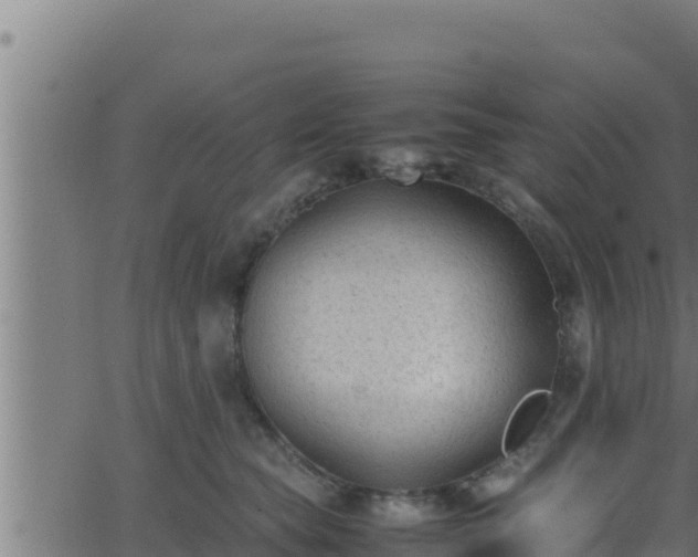 X0000062880565200601171450