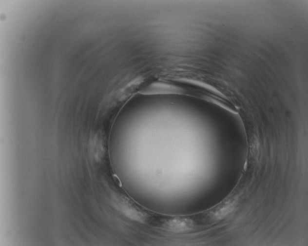 X0000062880566200601171450