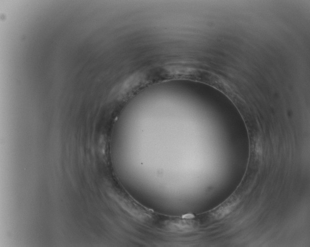 X0000062880567200601171450