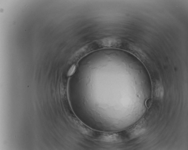 X0000062880569200601171450