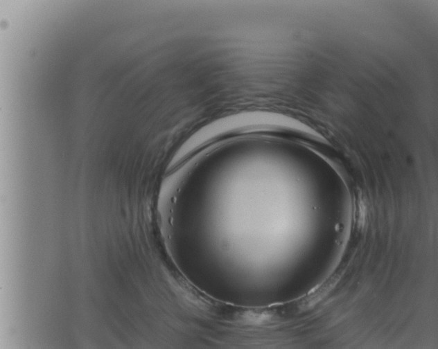 X0000062880570200601171450