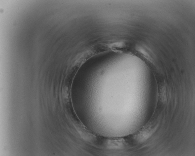 X0000062880571200601171450