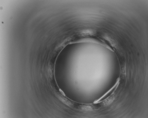 X0000062880572200601171450