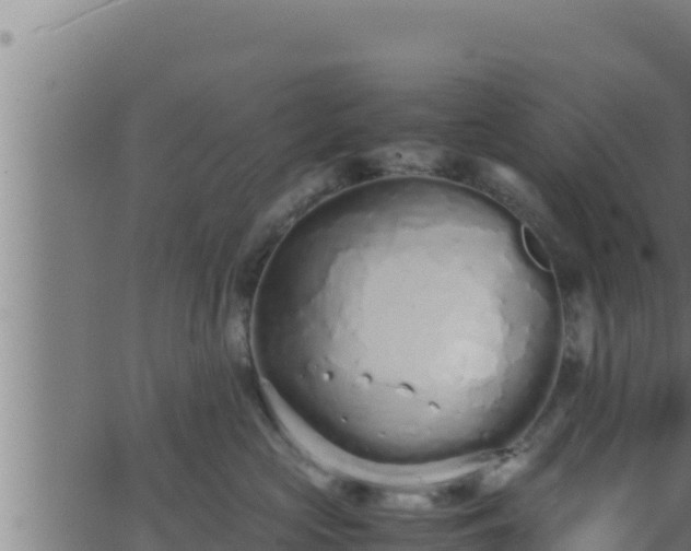 X0000062880573200601171450