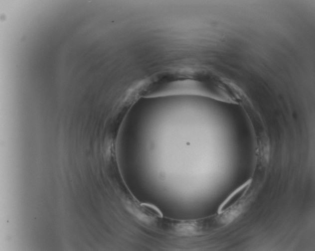 X0000062880574200601171450