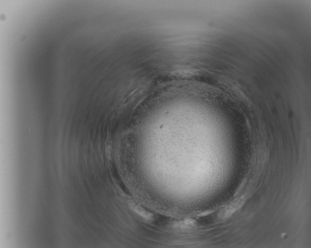 X0000062880576200601171451