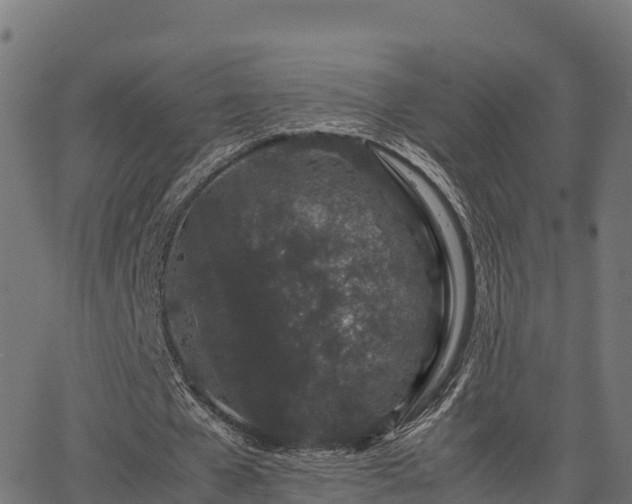 X0000062880577200601171450