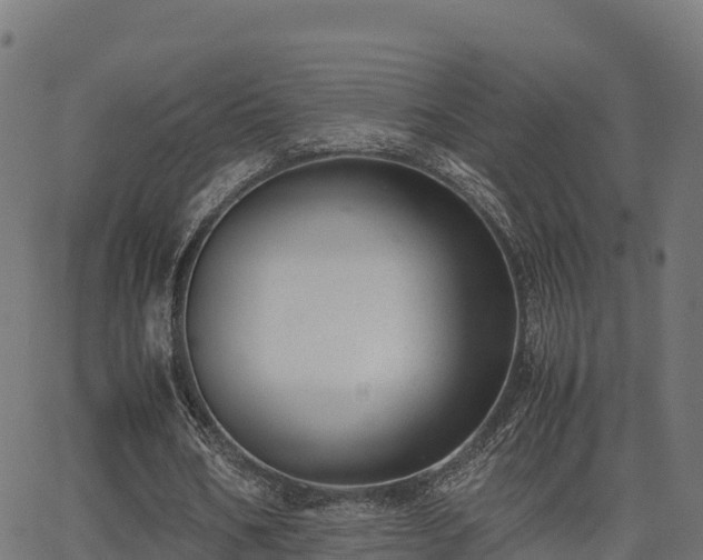 X0000062880578200601171450