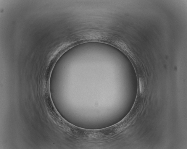 X0000062880579200601171450