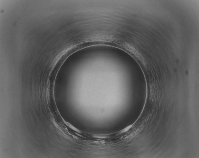 X0000062880580200601171450