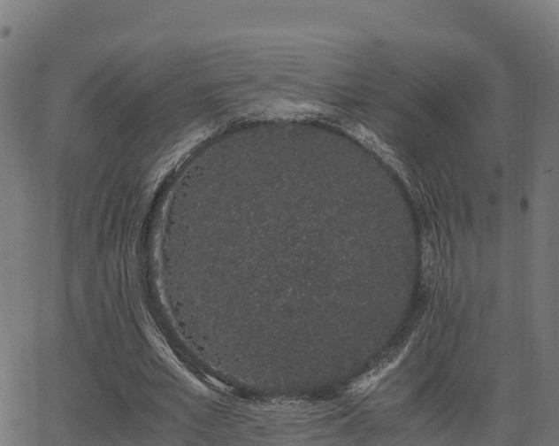 X0000062880581200601171450