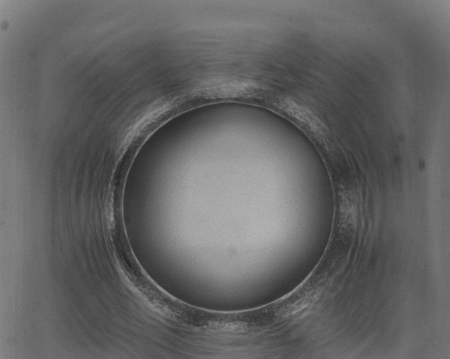 X0000062880582200601171450