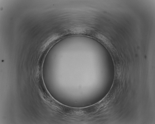 X0000062880583200601171450