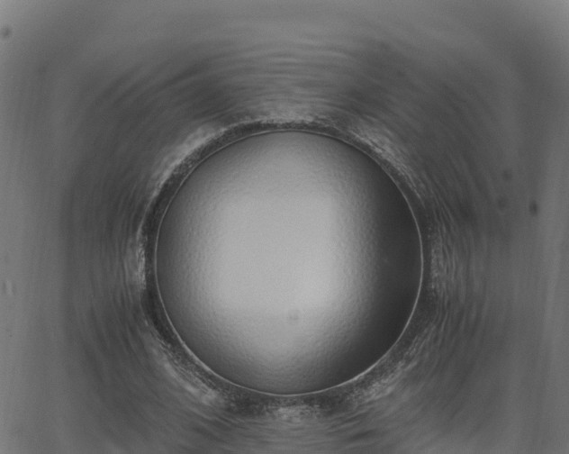 X0000062880584200601171450