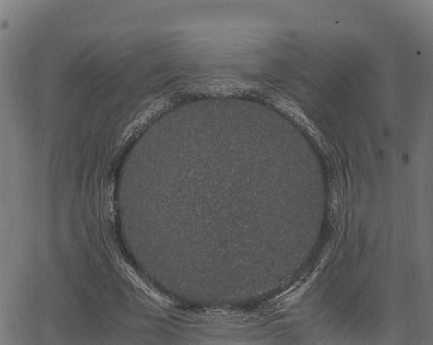 X0000062880585200601171450