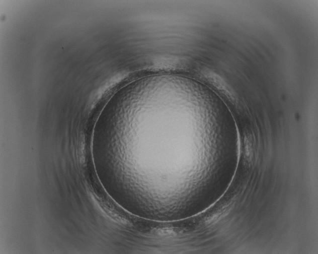 X0000062880588200601171449