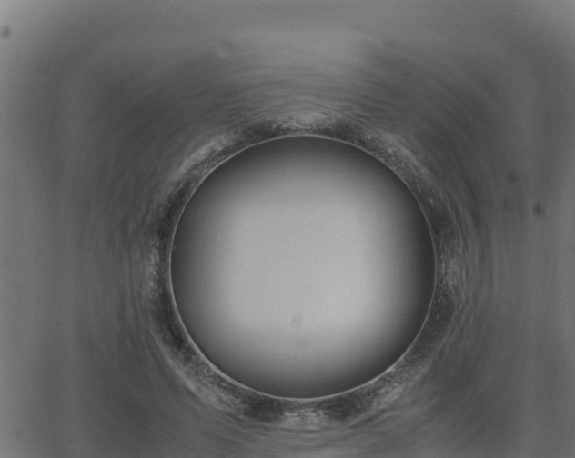 X0000062880591200601171449