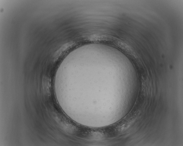 X0000062880592200601171449