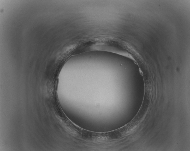 X0000062880593200601171449