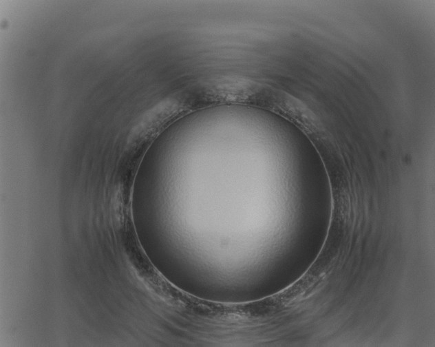 X0000062880594200601171449