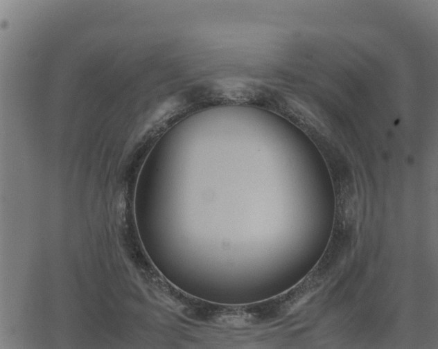 X0000062880595200601171449