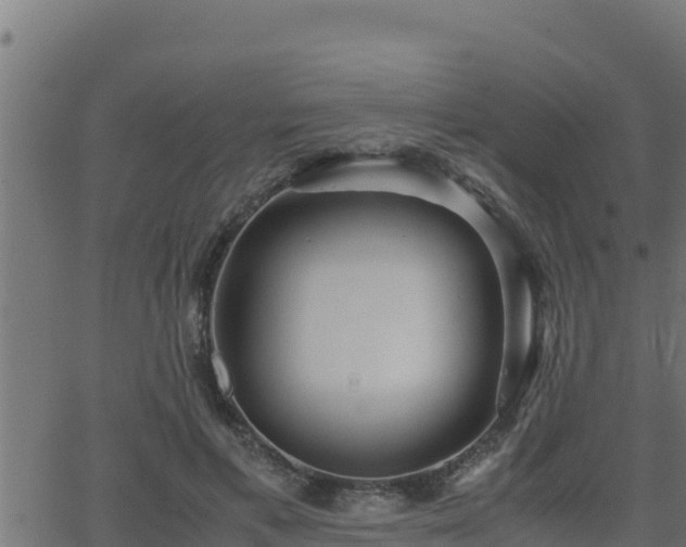 X0000062880597200601171449