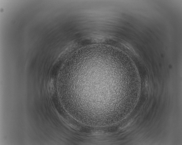 X0000062880598200601171449