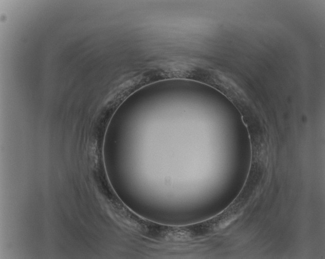 X0000062880599200601171449