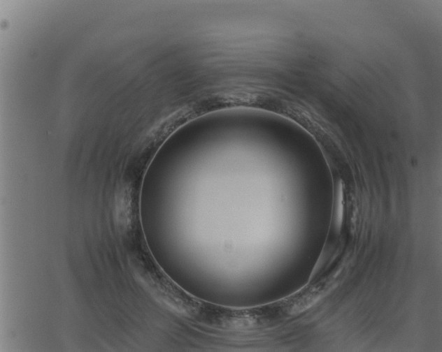 X0000062880600200601171449