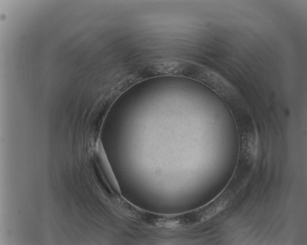 X0000062880602200601171449