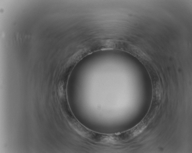 X0000062880611200601171449