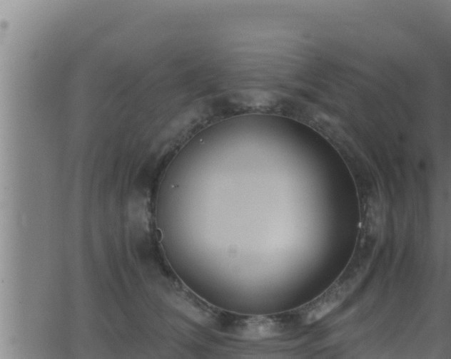 X0000062880612200601171449