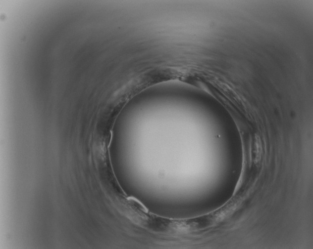 X0000062880613200601171449