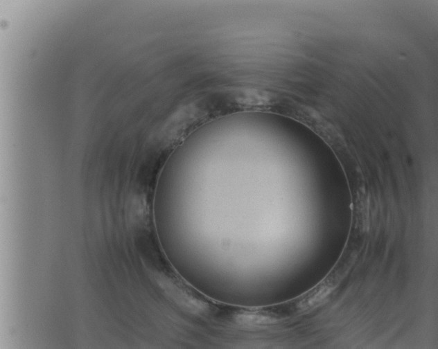 X0000062880614200601171449