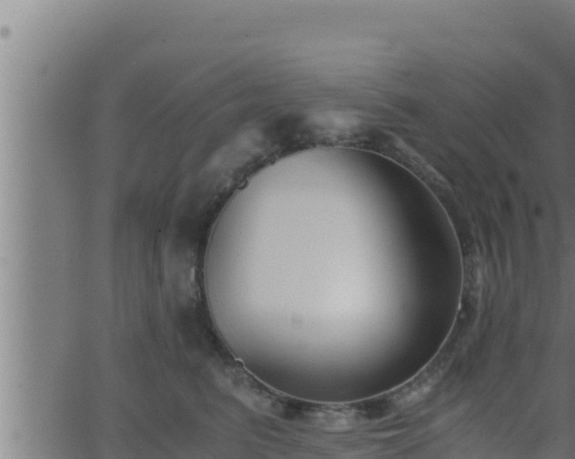 X0000062880615200601171449