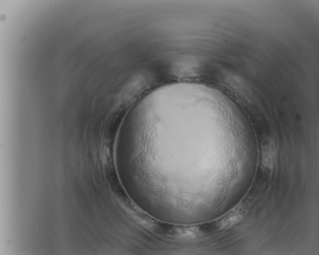 X0000062880618200601171449