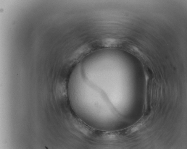 X0000062880620200601171449