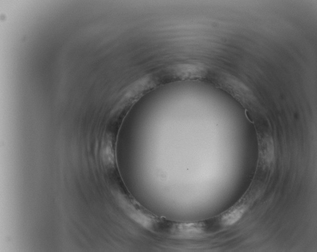 X0000062880622200601171449