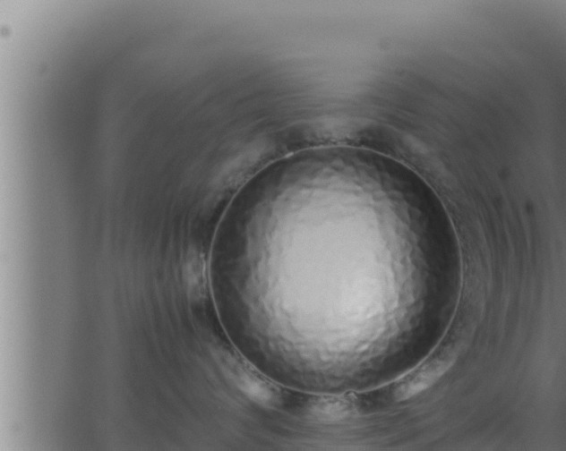 X0000062880624200601171449