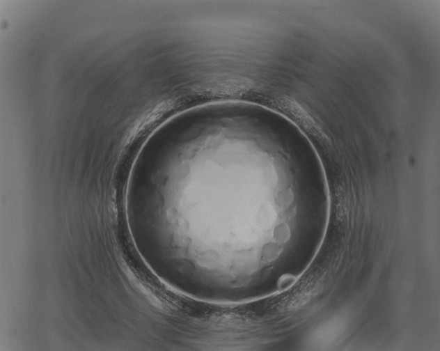 X0000062880634200601171448