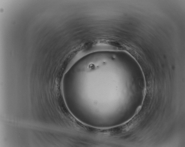 X0000062880653200601171449