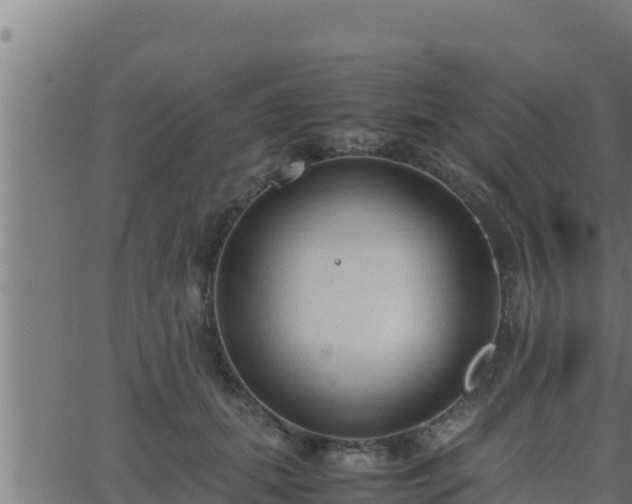 X0000062880655200601171449